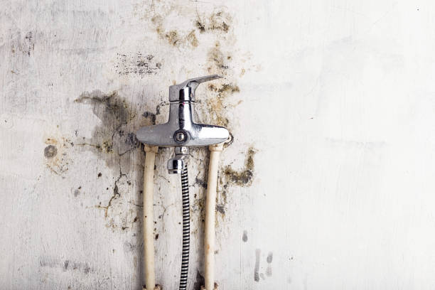 Stockdale, TX Mold Remediation Company