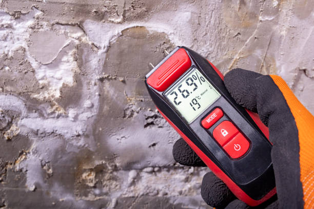 Best Attic Mold Remediation in Stockdale, TX