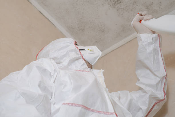 Best DIY Mold Remediation Support Services in Stockdale, TX