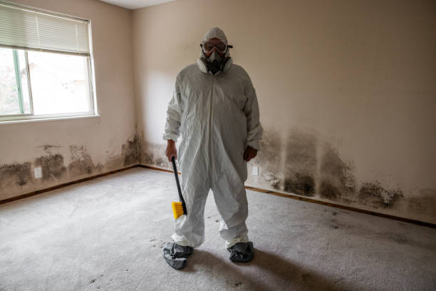 Best Bathroom Mold Remediation in Stockdale, TX